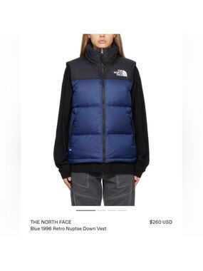 RETRO North Face Zip Up Feather Down Vest